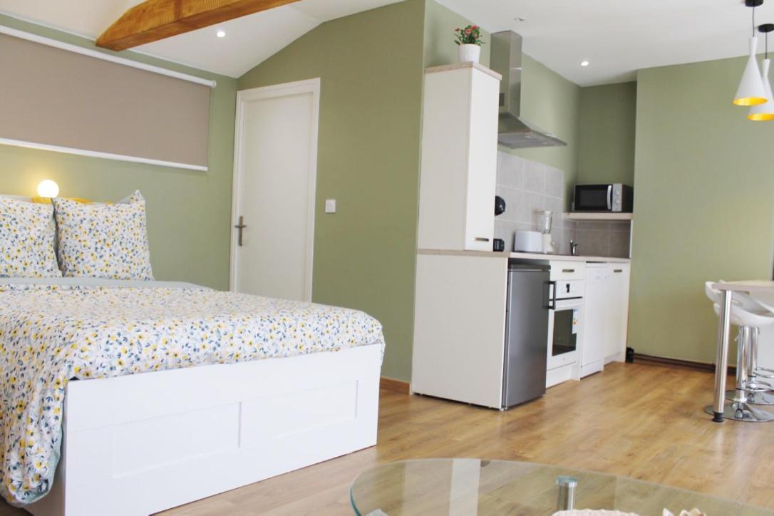Saint Etienne : Appartement Chateaucreux 40 M2 Buitenkant foto