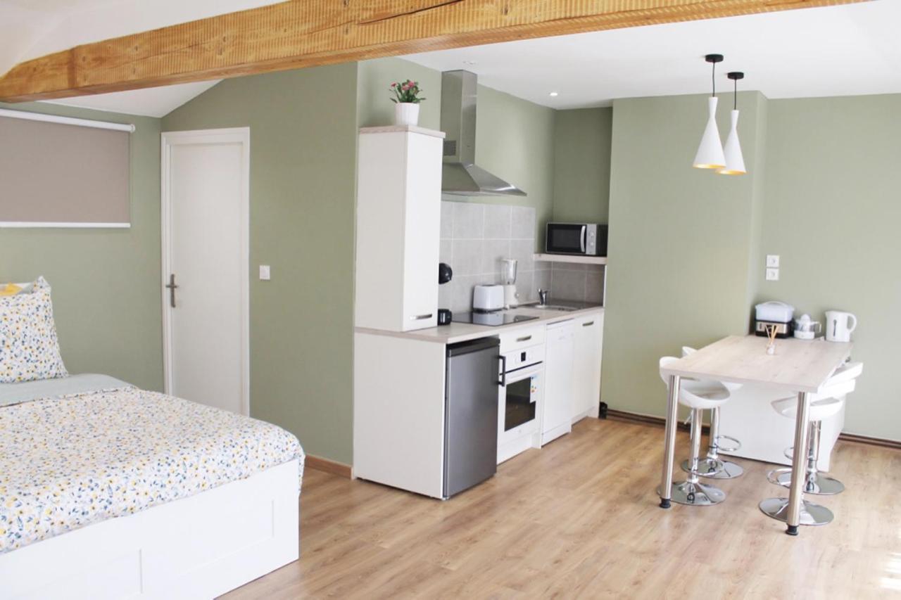 Saint Etienne : Appartement Chateaucreux 40 M2 Buitenkant foto