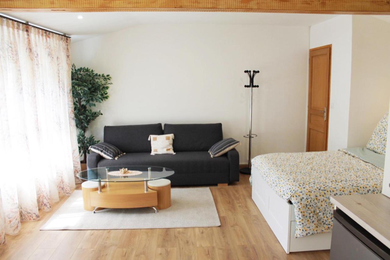 Saint Etienne : Appartement Chateaucreux 40 M2 Buitenkant foto
